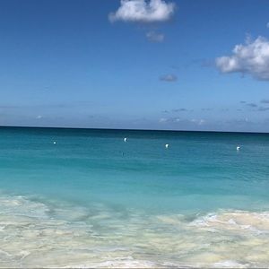 Meet your Posher, Lexi